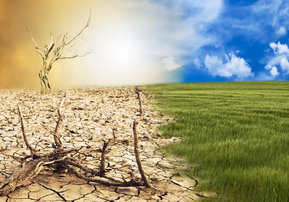 Sustainable & Climate Resilient Farming 2